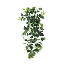 Artificial Money Plant Wall Decoration Hanging Vines 33x23.6x8cm